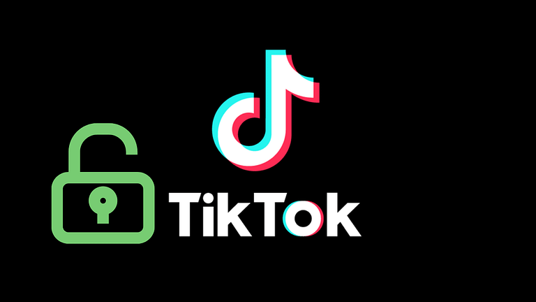 Tiktok Private Account Viewers: Which One is Best?